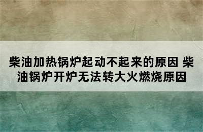 柴油加热锅炉起动不起来的原因 柴油锅炉开炉无法转大火燃烧原因